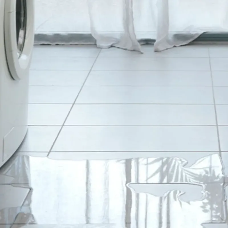 Appliance Leak Cleanup in Graysville, TN