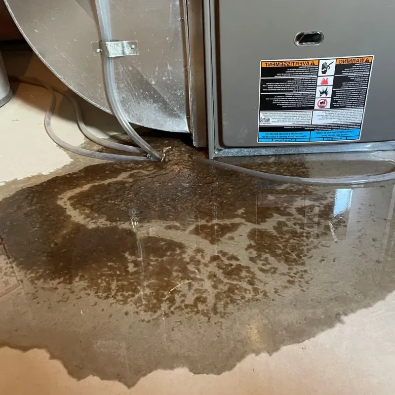 Pipe Burst and Leak Restoration in Graysville, TN