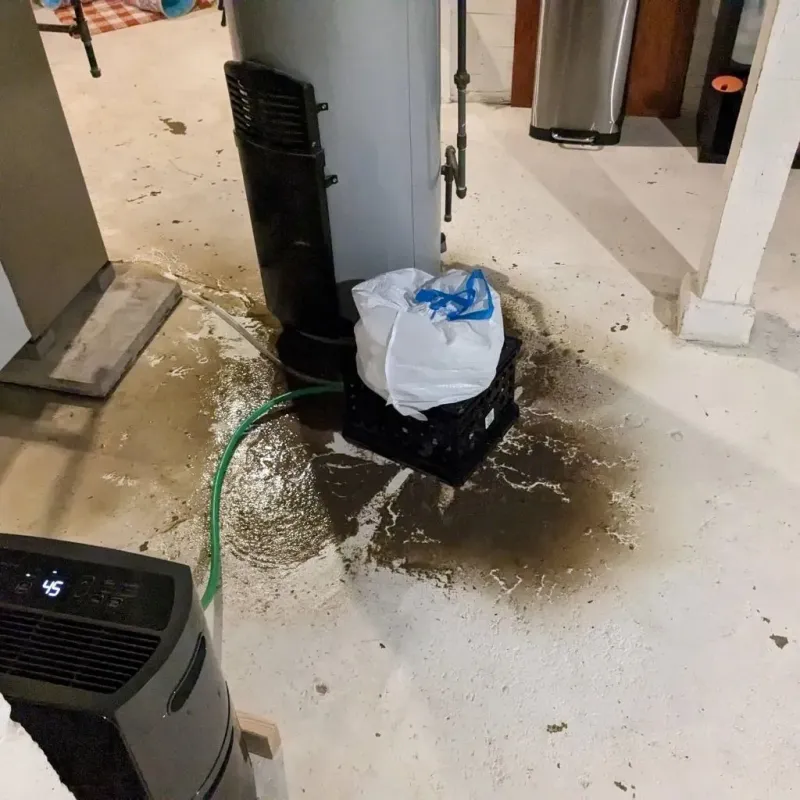 Sewage Backup Cleanup Service in Graysville, TN